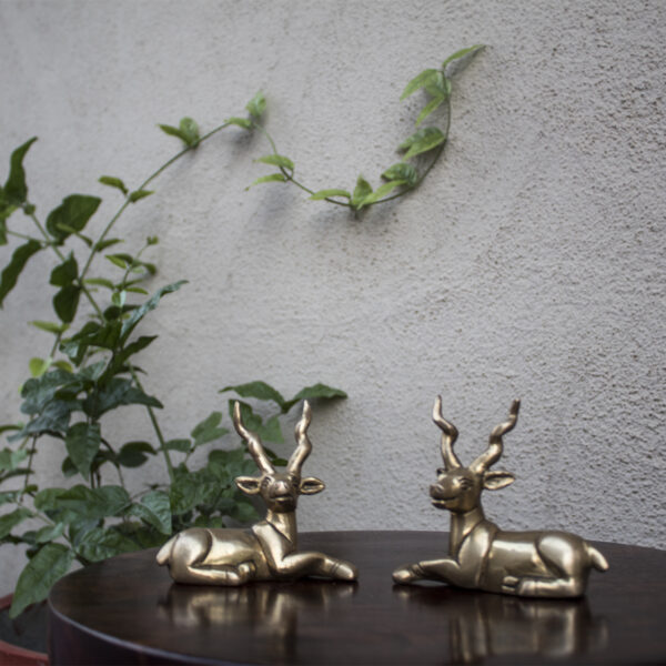 Deer Antelope - Brass-480